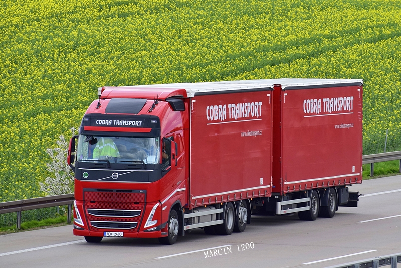 _DSC2044-crop-Cobra Transport.JPG