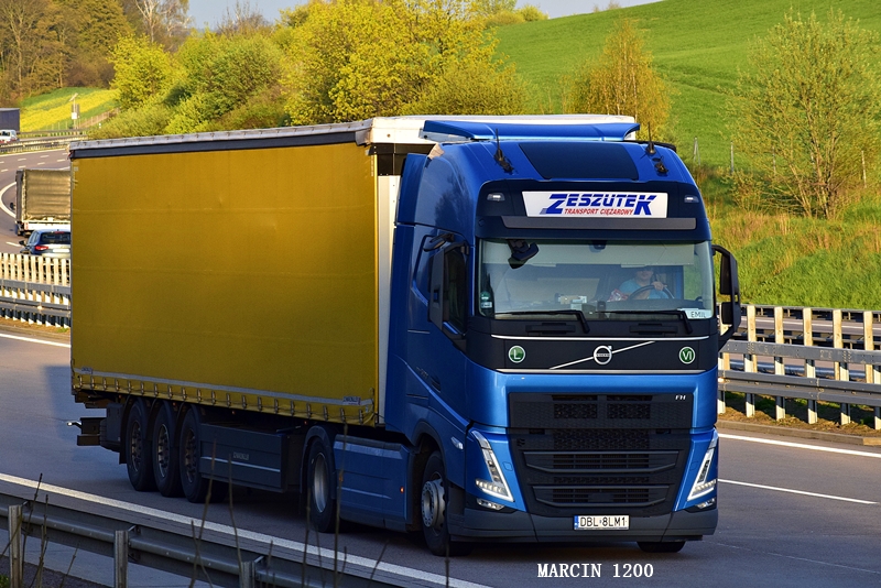 _DSC2534-crop-Zeszutek Transport.JPG