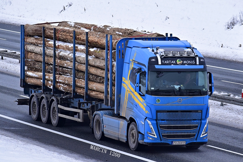 _DSC9125-crop-Tartak MONIŚ-Volvo FH V Globetrotter.JPG