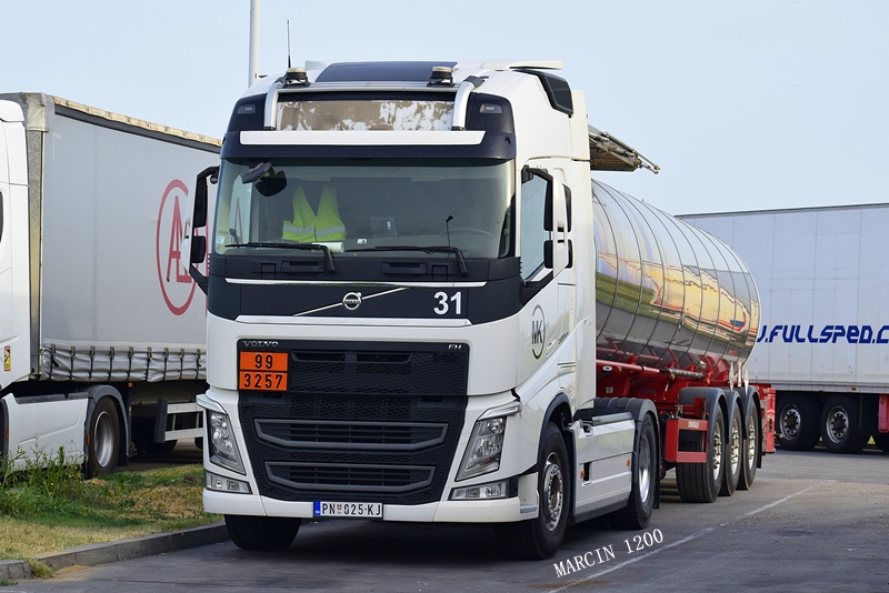 _DSC5447-crop-MILETIĆ KOMERC-Volvo FH IV.JPG