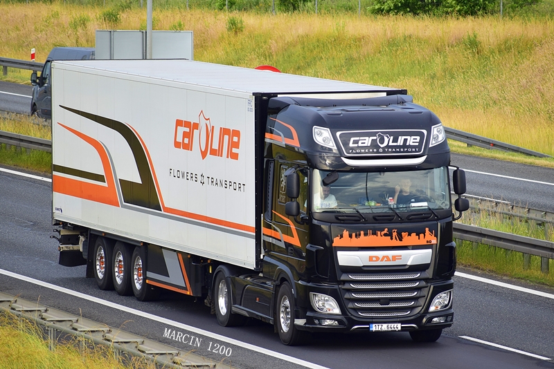 _DSC4640-crop-Caroline Flowers Transport-DAF XF106 II.JPG