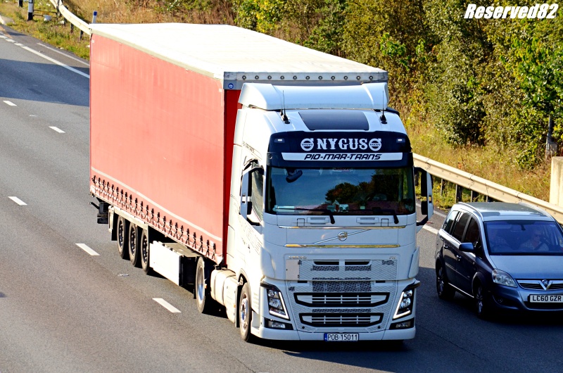 DSC_8260.JPG pio-mar-trans.JPG