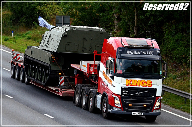 DSC_5103.JPG King.JPG