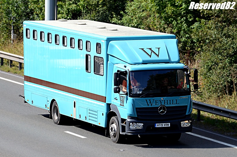 DSC_5370.JPG Weyhill.JPG