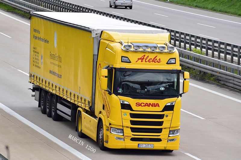 _DSC1813-crop-Aleks Transport-Scania S NG.JPG