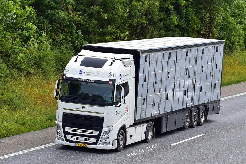 _DSC9385-crop-Randers-Volvo FH IV.JPG