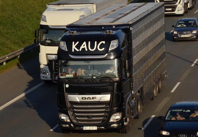 kauc1.JPG