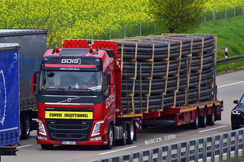 _DSC1916-crop-Gois-Volvo FH IV.JPG