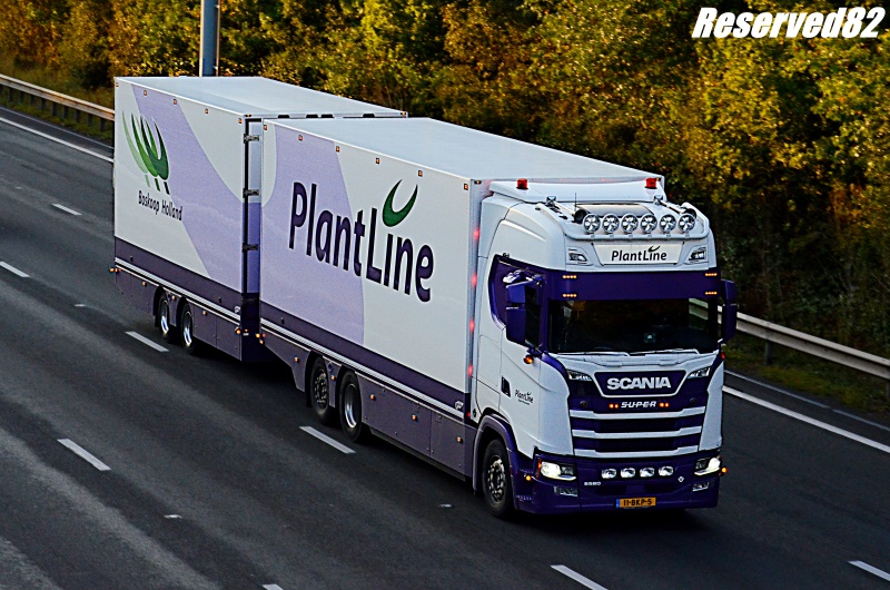 DSC_7424.JPG 2 Plant line.JPG