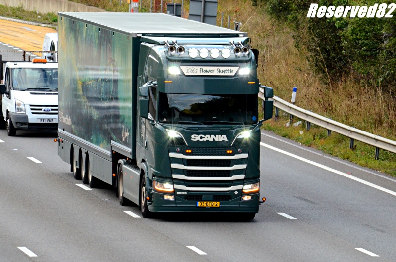 DSC_0004.JPG Dqf Flowers.JPG