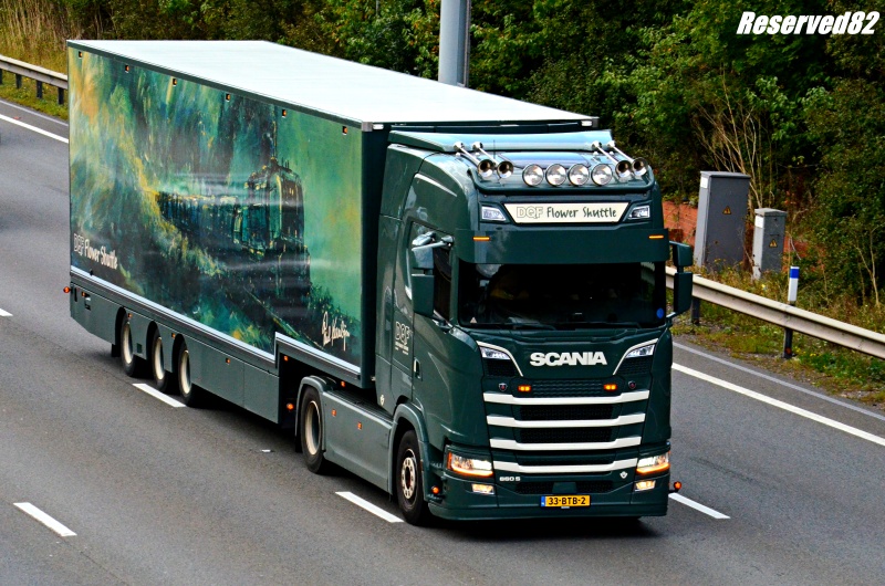 DSC_0018.JPG Dqf Flowers.JPG