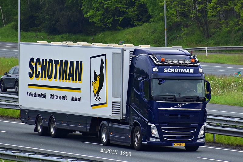 _DSC3981-crop-Schotman -Volvo FH IV.JPG