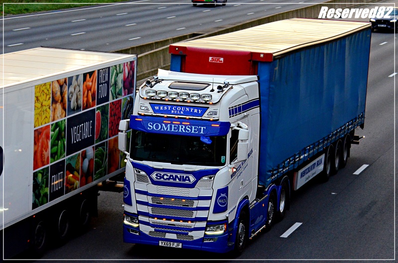 DSC_8408.JPG Samerset.JPG