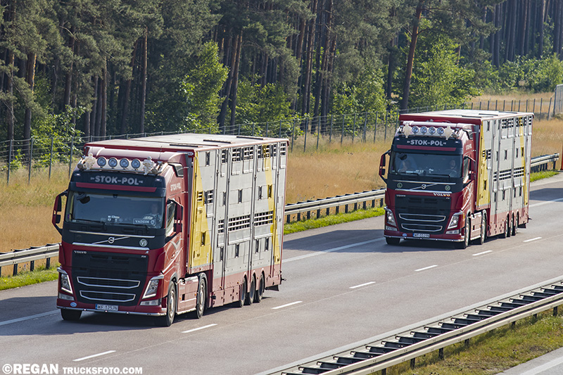 Volvo FH4 - Stok-Pol.jpg
