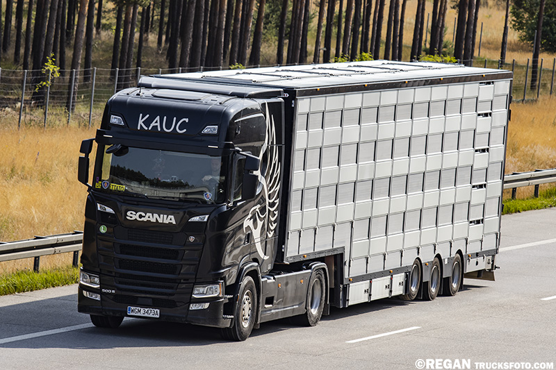 Scania 500S - Kauc.jpg