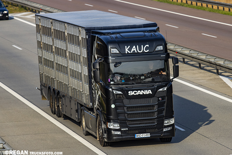 Scania 500S Kauc.jpg