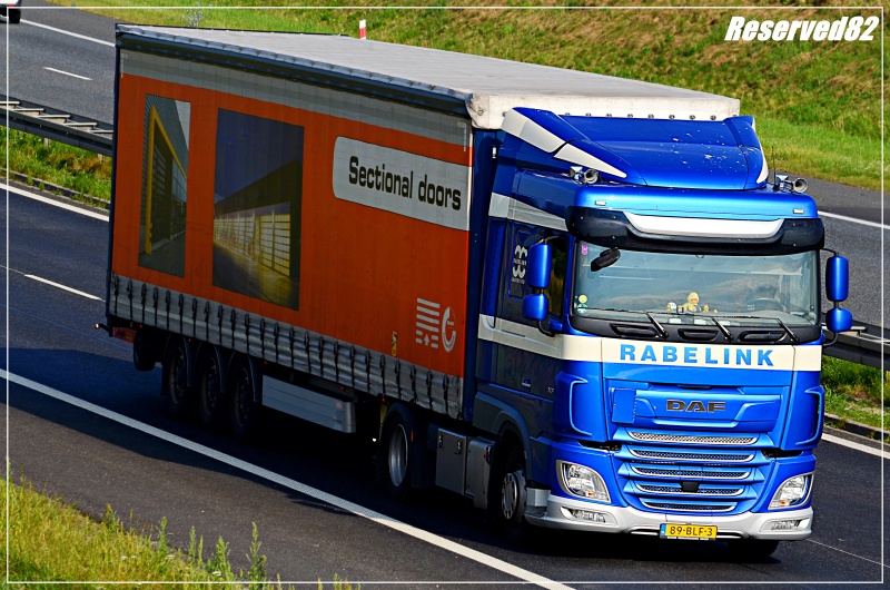 DSC_3046.JPG Rabelink.JPG