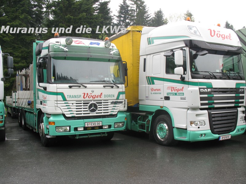 025_MB-Actros-25xx-Vögel-Doren_20100516_004.JPG