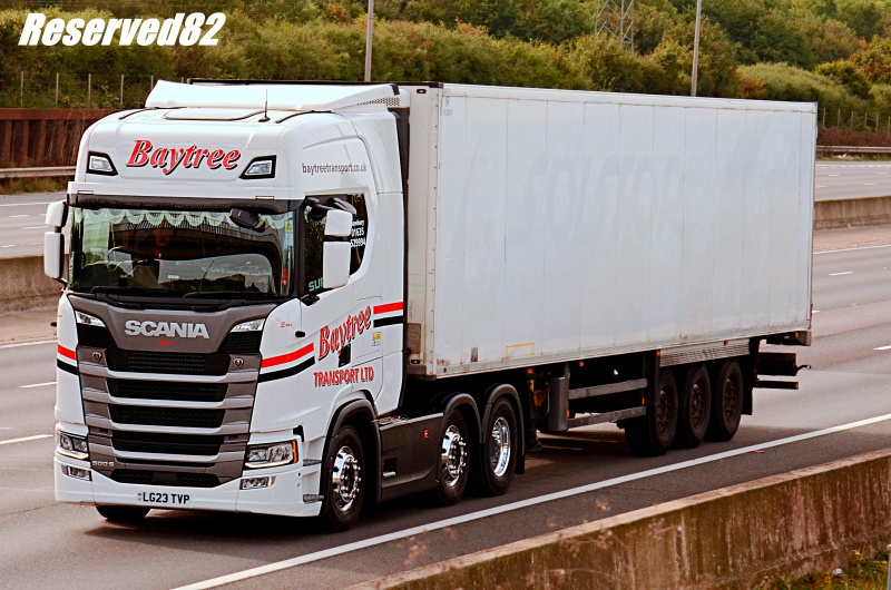 DSC_8608.JPG Baytree.JPG