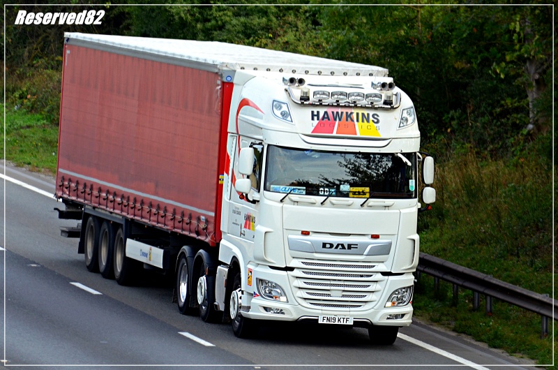 DSC_6668.JPG Hawkins.JPG