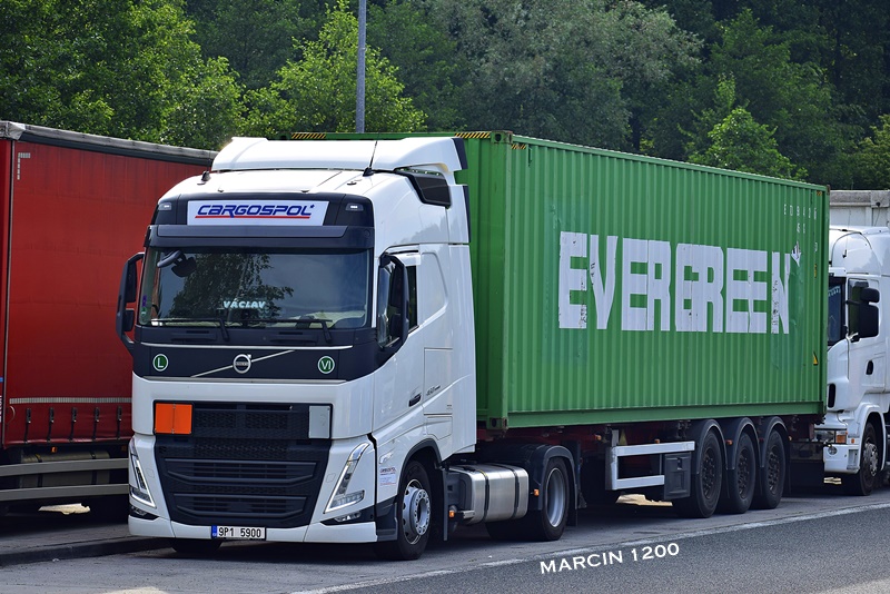 _DSC4625-crop-VOLVO FH V-Cargospol.JPG