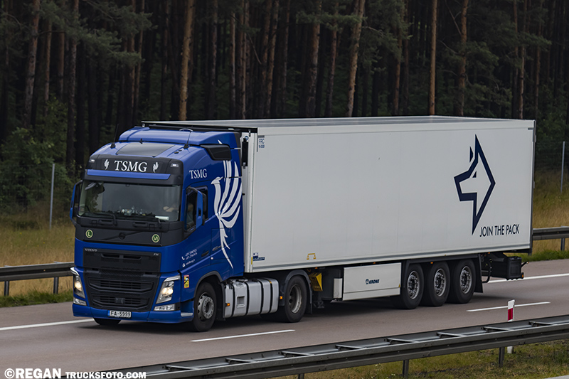 Volvo FH4 TSMG.jpg