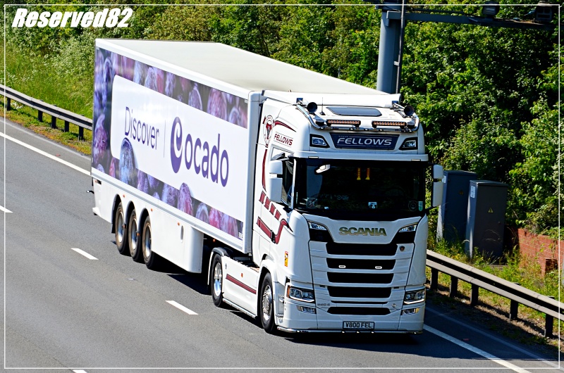 DSC_3615.JPG Fellows.JPG