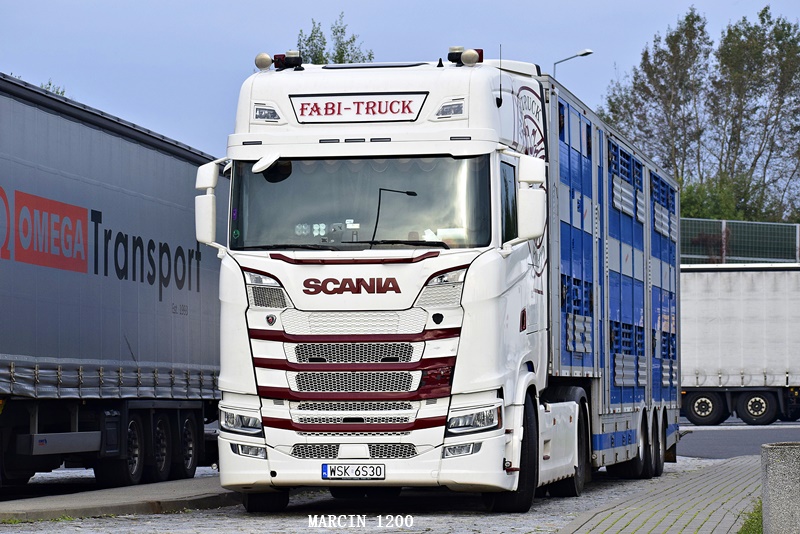 _DSC7176-crop-FABI-TRUCK-SCANIA S NG.JPG