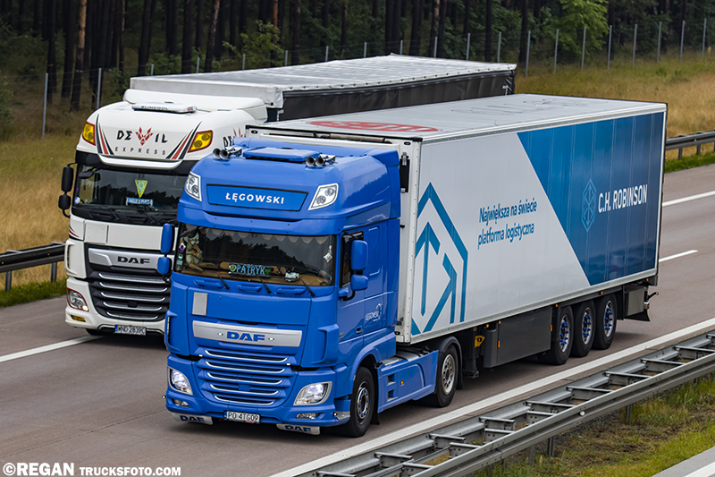 DAF XF116 - Łęgowski Transport.jpg