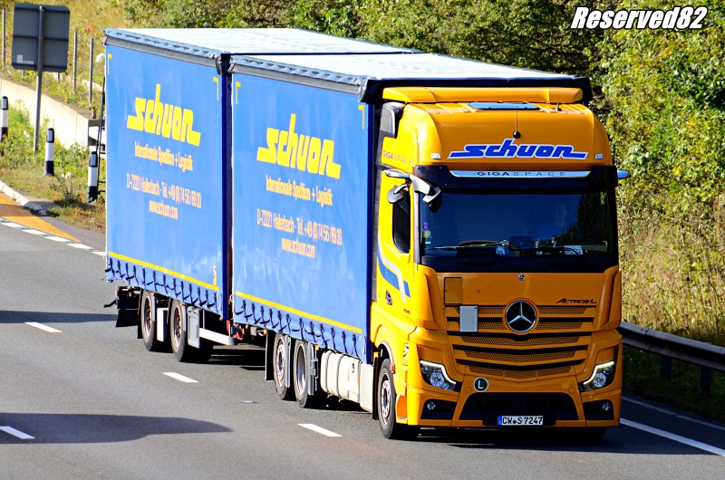 DSC_3697.JPG schuon.JPG