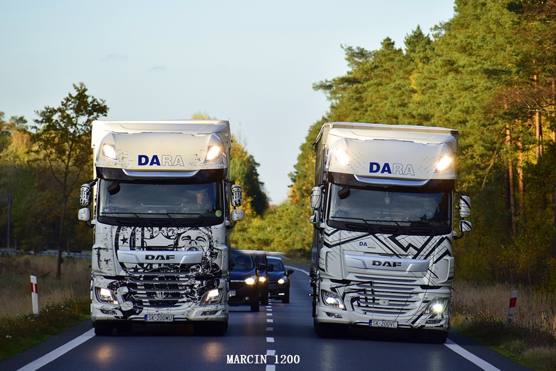 _DSC7471-crop-DARA-DAF XF106II.JPG