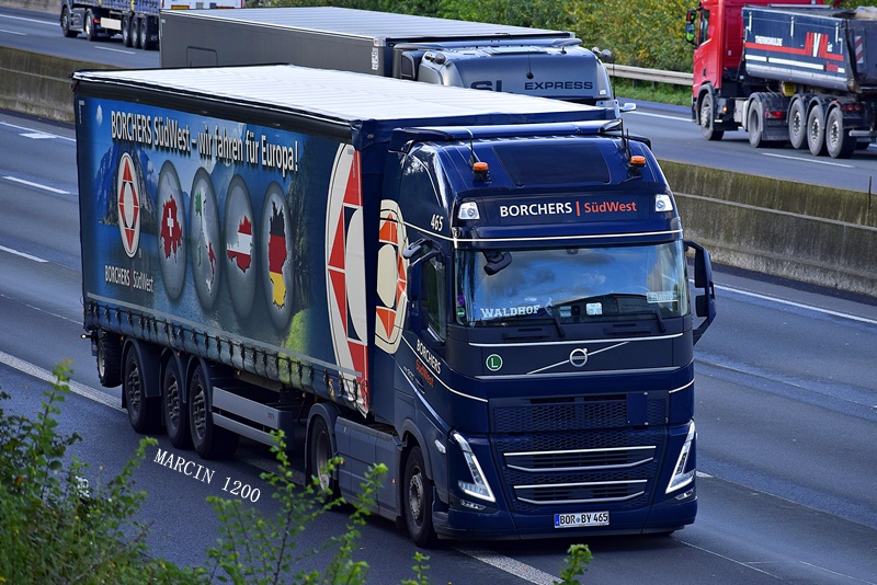 _DSC7794-crop-BORCHERS Borken-VOLVO FH V.JPG