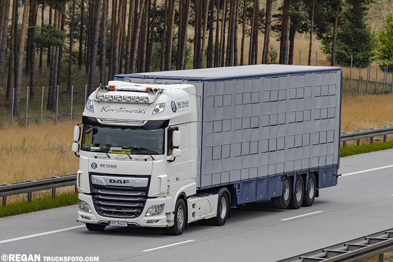 DAF XF116 - Korytowski.jpg