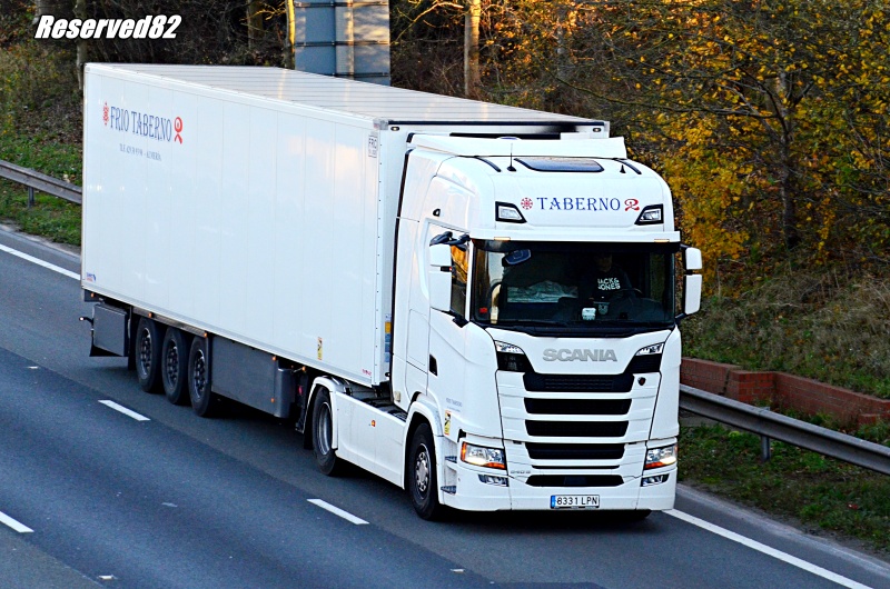 DSC_6962.JPG taberno.JPG