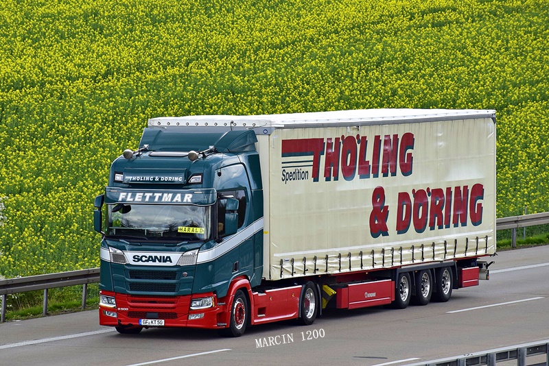 _DSC1889-crop-Thöling & Döring-Scania S500 NG.JPG
