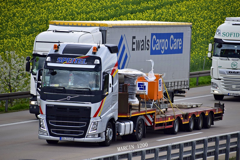 _DSC1793-crop-Speitel-VOLVO FH IV.JPG