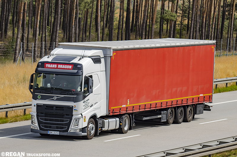 Volvo FH4 - Trans Dragon (1).jpg