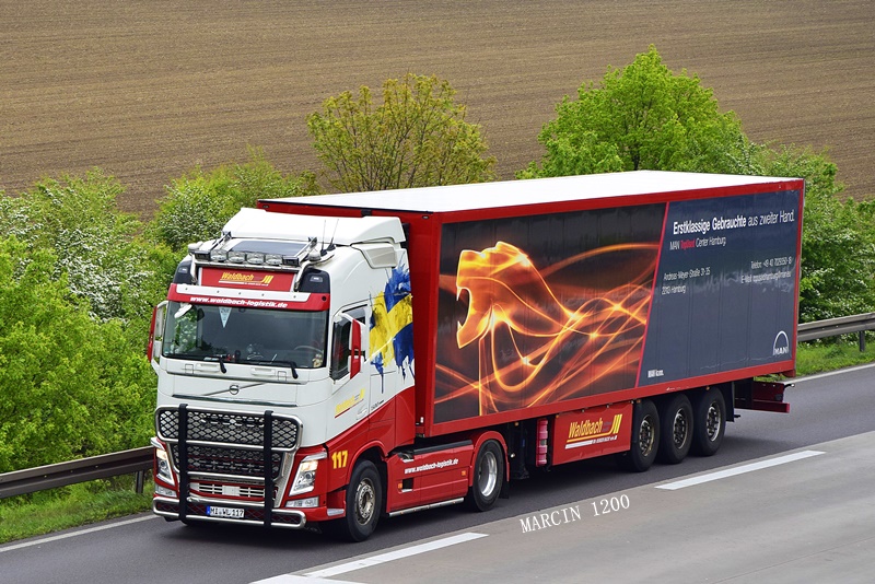 _DSC6273-crop-WALDBACH-VOLVO FH IV.JPG
