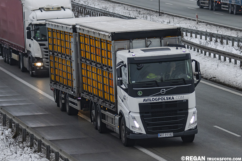 Volvo FH5 - Avilog.jpg