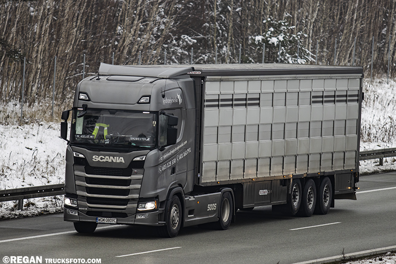 Scania 500S - Jędrzejewski.jpg