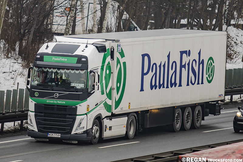Volvo FH5 - Paula Fish.jpg