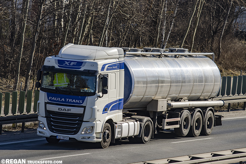 DAF XF106 - Paula Trans.jpg