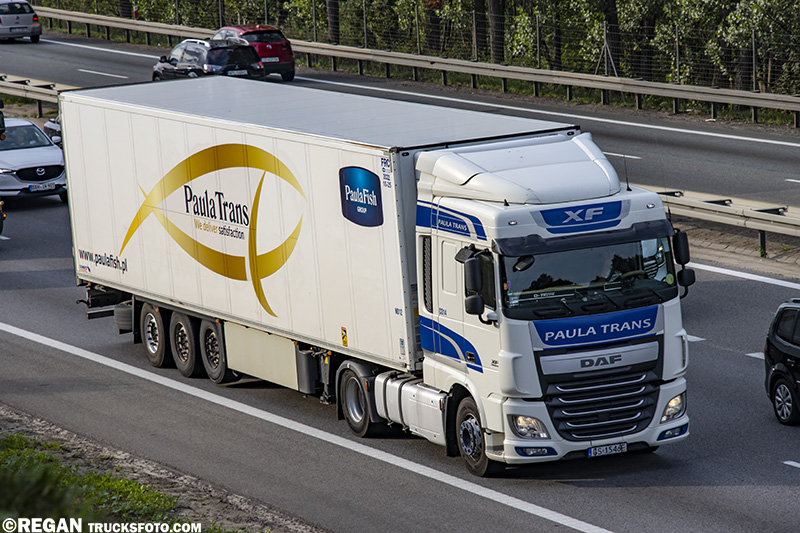 DAF XF - Paula Trans.jpg