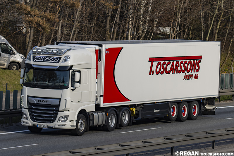 DAF XF116 - Pall Cargo.jpg