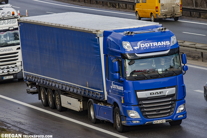 DAF XF116 - DD Trans.jpg