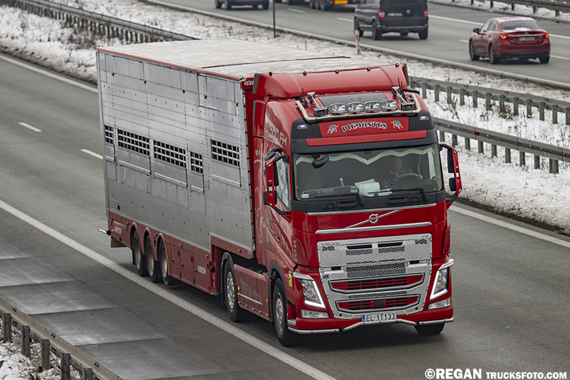Volvo FH4 - Piemontes.jpg
