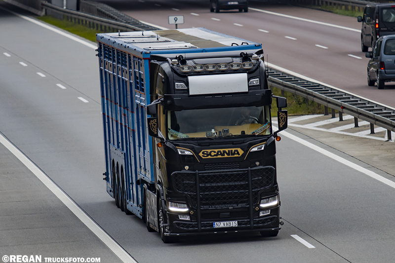 Scania S730 V8 Pat-Mek Ostróda.jpg