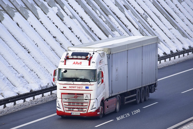 _DSC8462-crop-AReS-VOLVO FH V.JPG