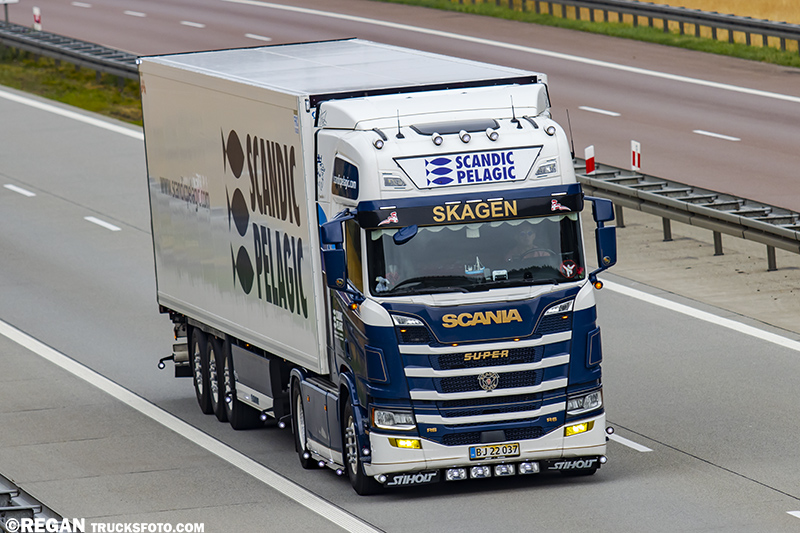 Scania R - Scandic Pelagic.jpg