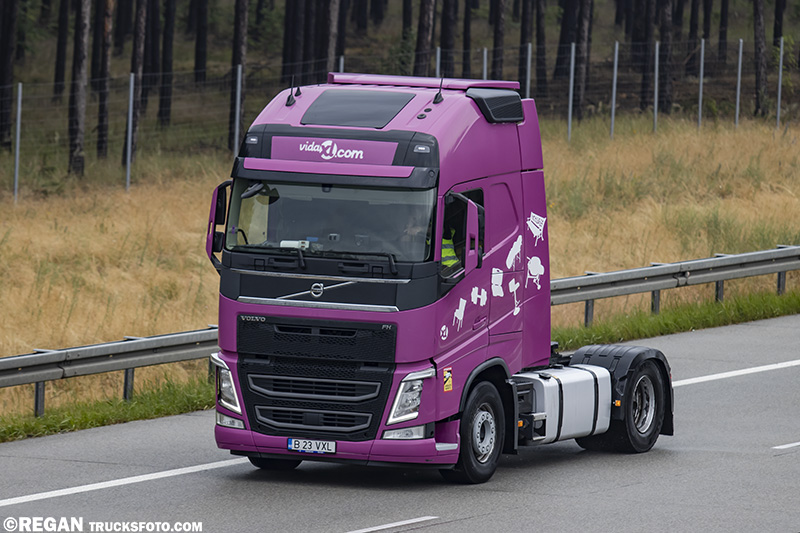 Volvo FH4 - VidaXL.jpg